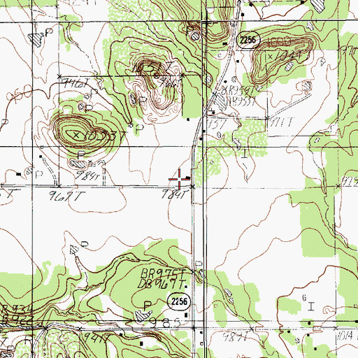 Topographic Map of Willow Pond Church, TX