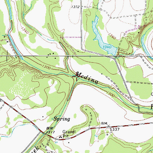 Topographic Map of Winans Creek, TX