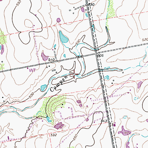 Topographic Map of Withers Hollow, TX