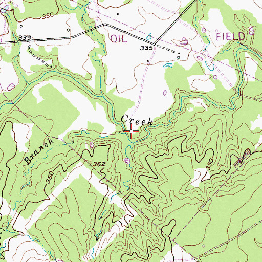 Topographic Map of Wolf Branch, TX