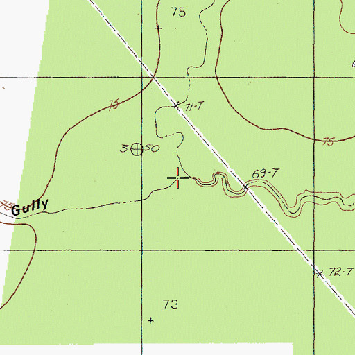 Topographic Map of Wolf Gully, TX