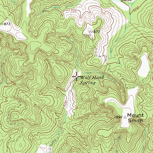 Topographic Map of Wolf Head Spring, TX