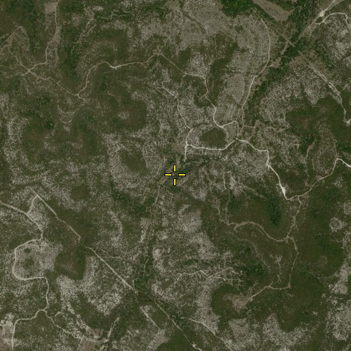 Aerial/Satellite Image of Wolf Head Spring, TX