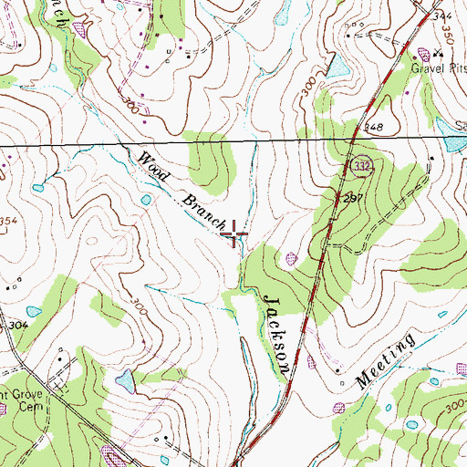 Topographic Map of Wood Branch, TX