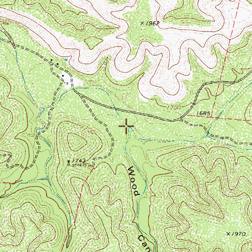 Topographic Map of Wood Canyon, TX