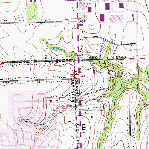 Topographic Map of Woodhaven Church, TX
