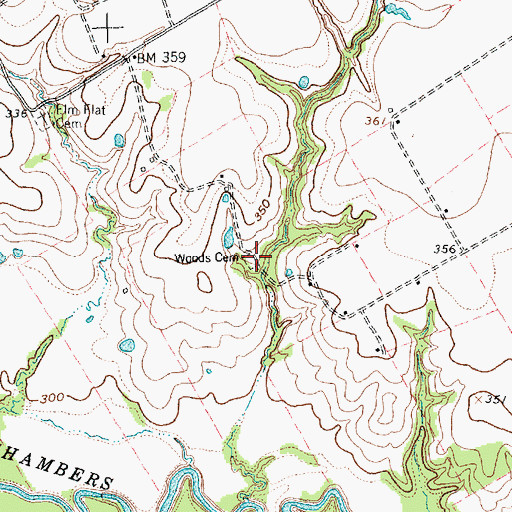 Topographic Map of Woods Cemetery, TX