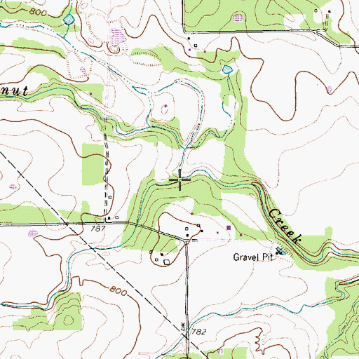 Topographic Map of Woody Creek, TX