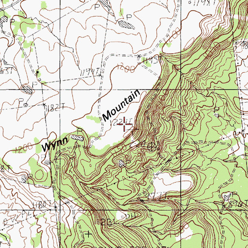 Topographic Map of Wynn Mountain, TX