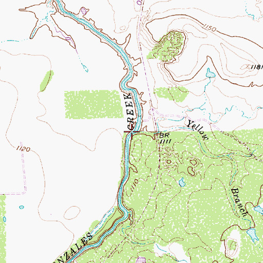 Topographic Map of Yellow Branch, TX