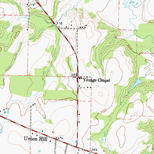 Topographic Map of Youngs Chapel, TX