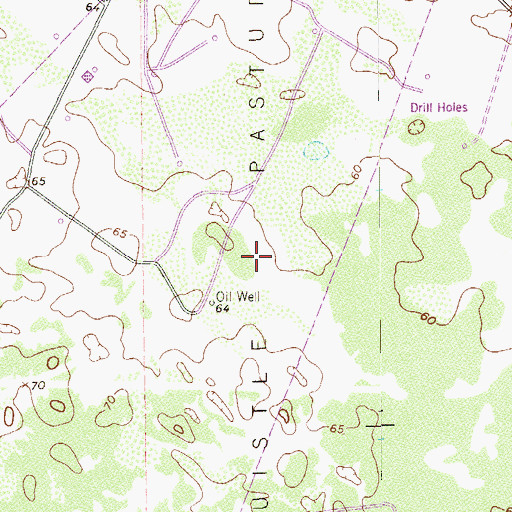 Topographic Map of Zacahuistle Pasture, TX