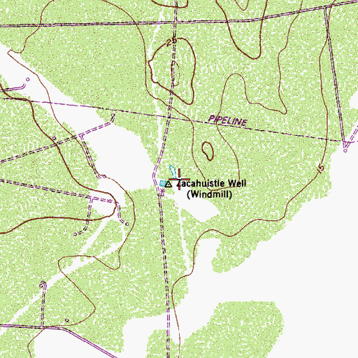 Topographic Map of Zacahuistle Well, TX