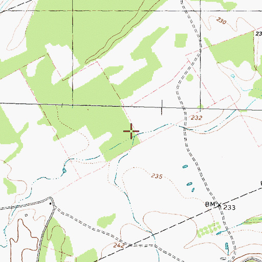 Topographic Map of Alum Branch, TX