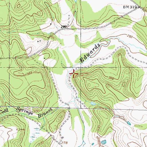 Topographic Map of Cold Springs Branch, TX