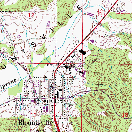 Topographic Map of Blountsville High School, AL