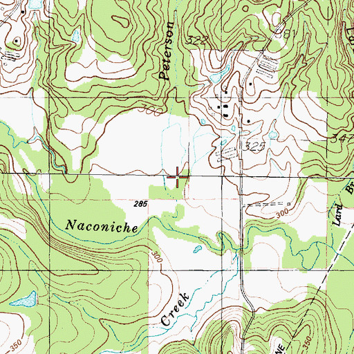 Topographic Map of Peterson Branch, TX