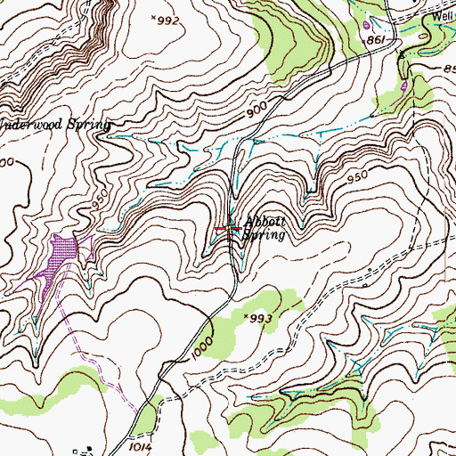 Topographic Map of Abbott Spring, TX