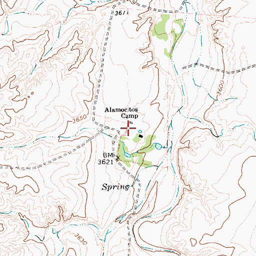 Topographic Map of Alamocitos Camp, TX