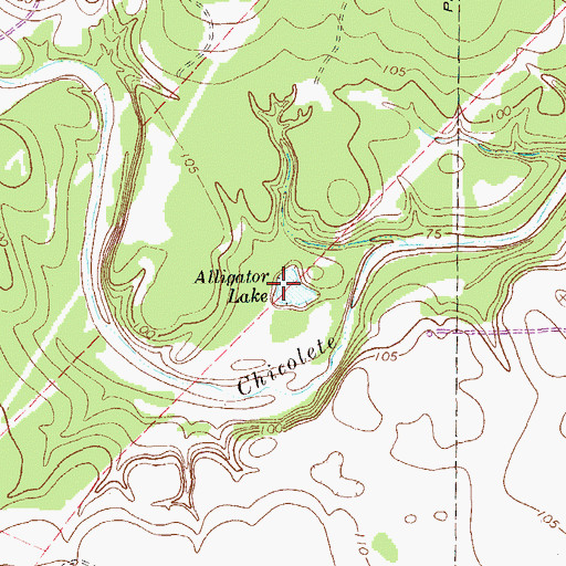 Topographic Map of Alligator Lake, TX