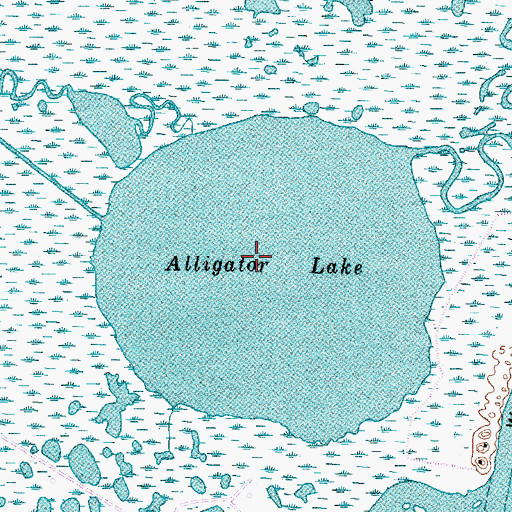 Topographic Map of Alligator Lake, TX