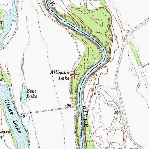 Topographic Map of Alligator Lake, TX