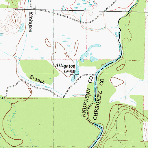 Topographic Map of Alligator Lake, TX