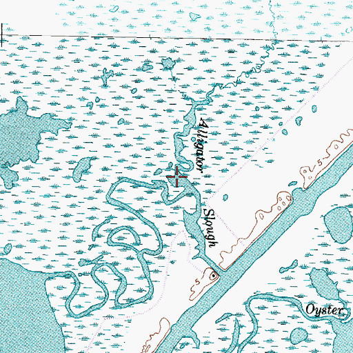 Topographic Map of Alligator Slough, TX