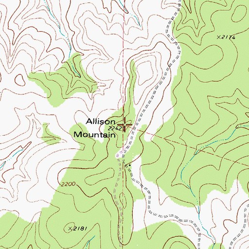 Topographic Map of Allison Mountain, TX
