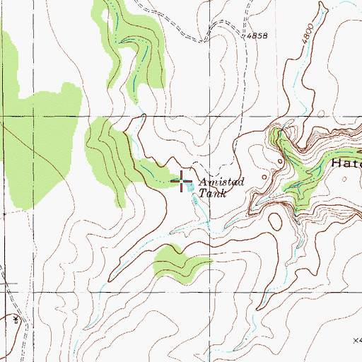 Topographic Map of Amistad Tank, TX