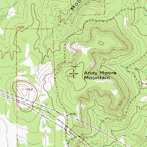 Topographic Map of Andy Moore Mountain, TX