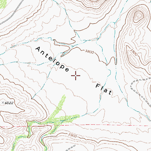 Topographic Map of Antelope Flat, TX