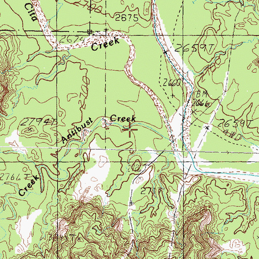 Topographic Map of Antibust Creek, TX