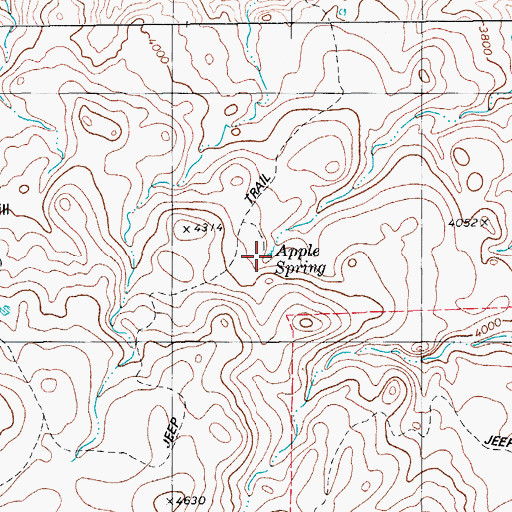Topographic Map of Apple Spring, TX