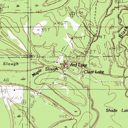 Topographic Map of Ard Lake, TX