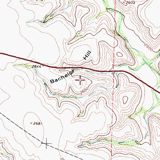 Topographic Map of Bachelor Hill, TX