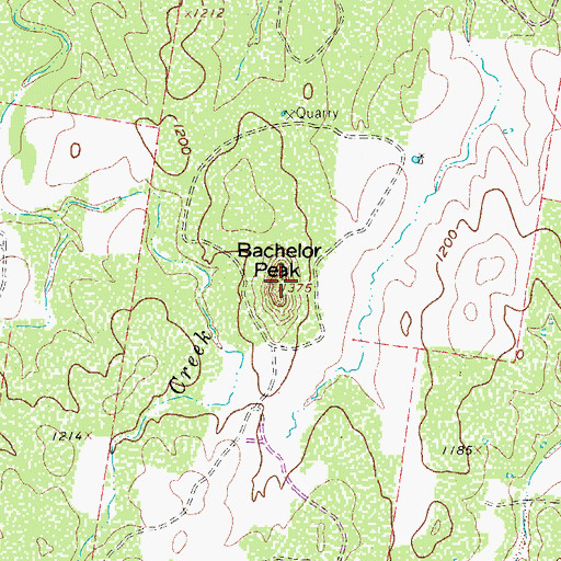 Topographic Map of Bachelor Peak, TX