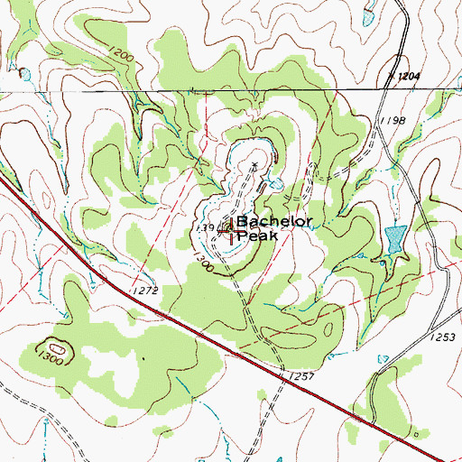 Topographic Map of Bachelor Peak, TX