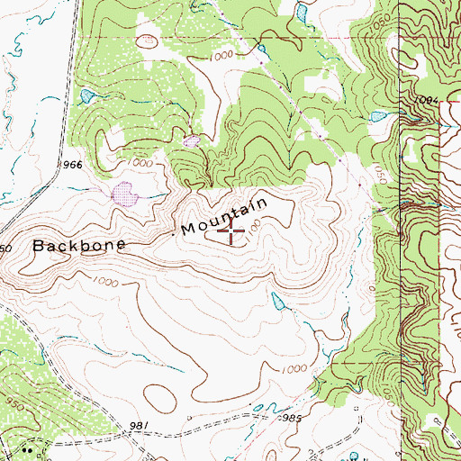 Topographic Map of Backbone Mountain, TX