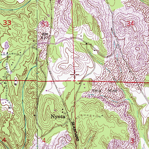 Topographic Map of Nyota Mine, AL