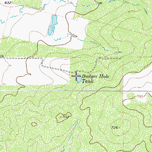 Topographic Map of Badger Hole Tank, TX