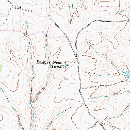 Topographic Map of Badger Nest Tank, TX