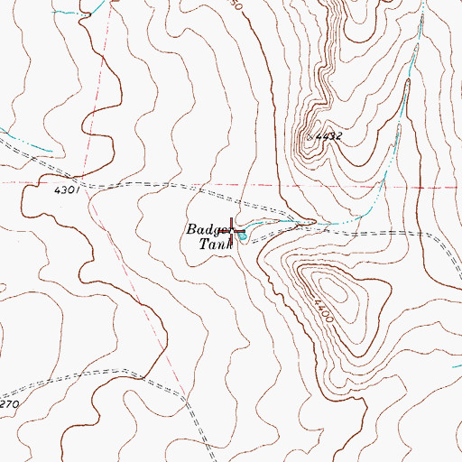 Topographic Map of Badger Tank, TX