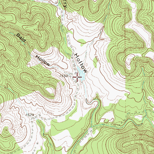 Topographic Map of Bald Hollow, TX
