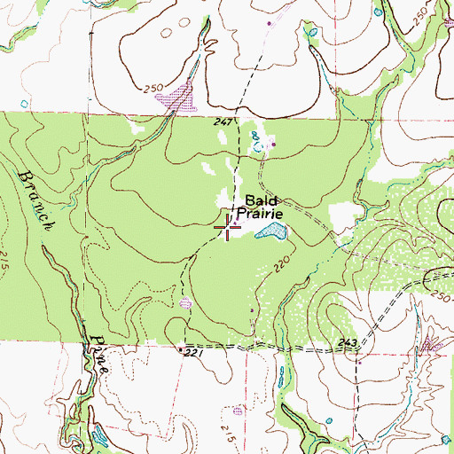 Topographic Map of Bald Prairie, TX
