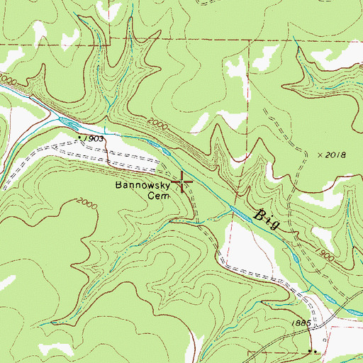 Topographic Map of Bannowsky Cemetery, TX