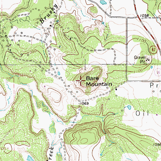 Topographic Map of Bare Mountain, TX