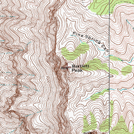 Topographic Map of Bartlett Peak, TX