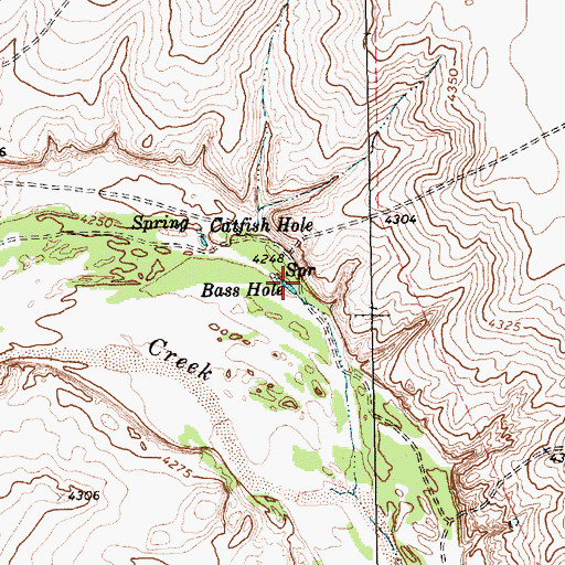 Topographic Map of Bass Hole, TX