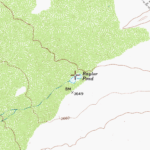Topographic Map of Baylor Pond, TX